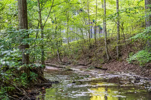 Santa Fe, TN 38482,0 Skelley Rd