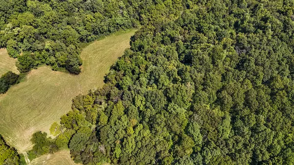 Wartrace, TN 37183,0 Straight Creek Rd