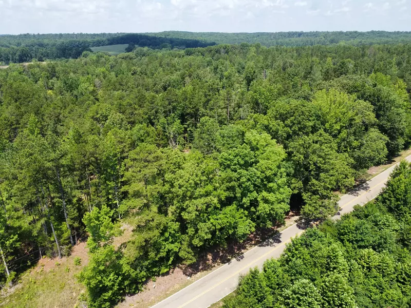 0 Hwy 225, Bethel Springs, TN 38315