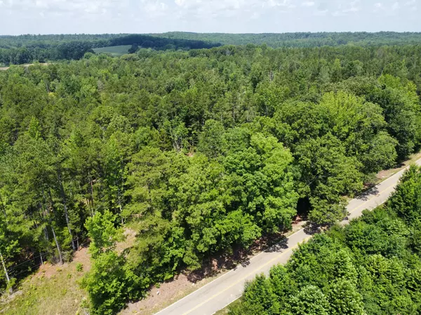 0 Hwy 225, Bethel Springs, TN 38315