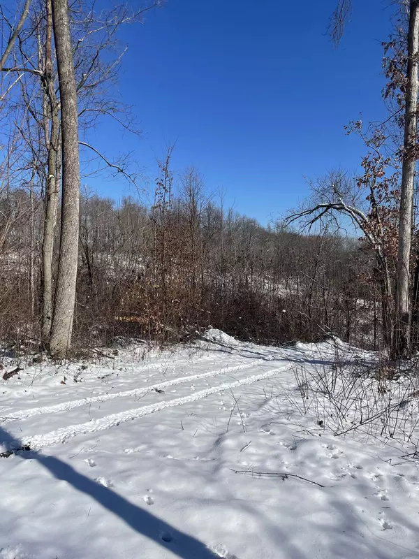 Woodbury, TN 37190,0 Smithson Hollow Rd