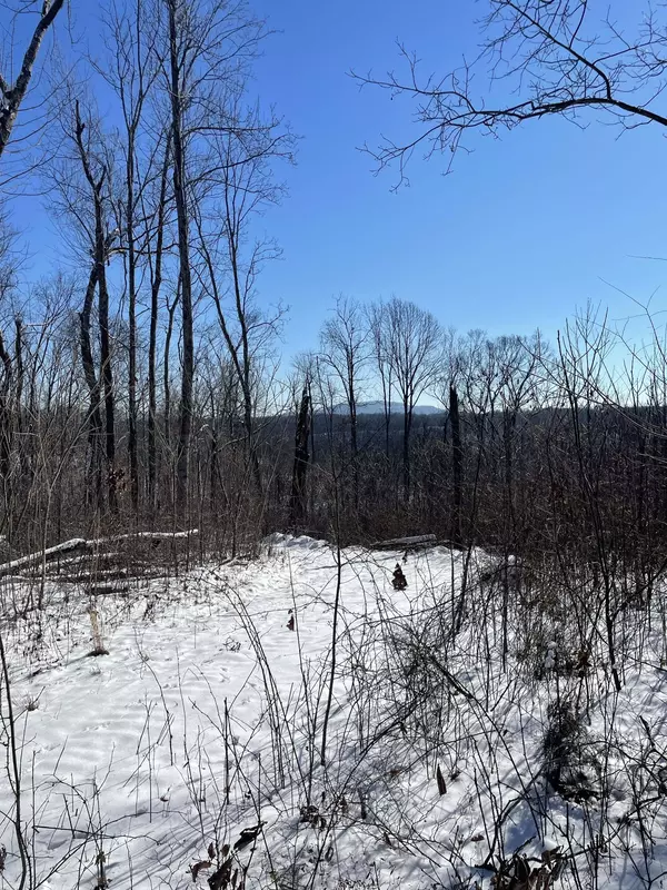 Woodbury, TN 37190,0 Smithson Hollow Rd