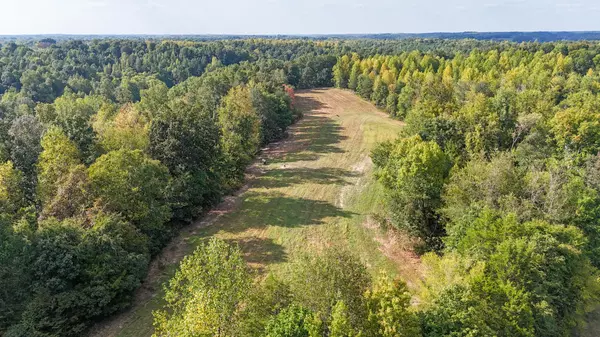 Minor Hill, TN 38473,944 Shoal Bluff Rd