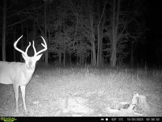 Wartrace, TN 37183,239 Arnold Ln