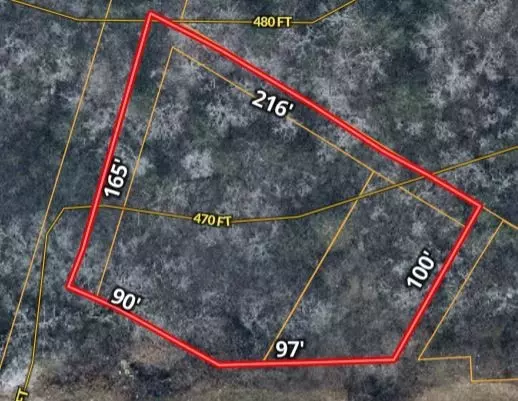 Nashville, TN 37207,815 Trinity Lane #W