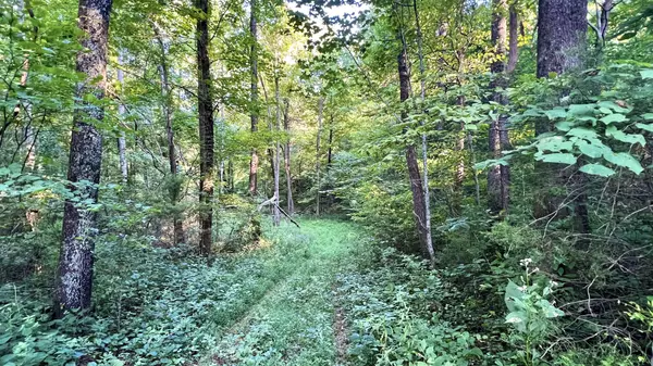 Wartrace, TN 37183,0 Union Ridge Rd