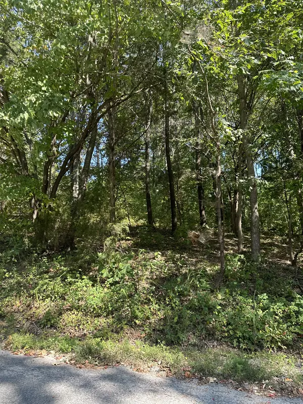 Big Rock, TN 37023,0 Lee Lane