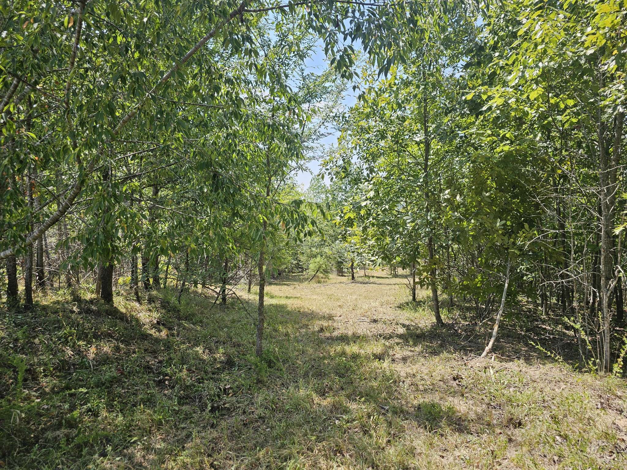 0 Ross Creek Ridge, Clifton, TN 38425