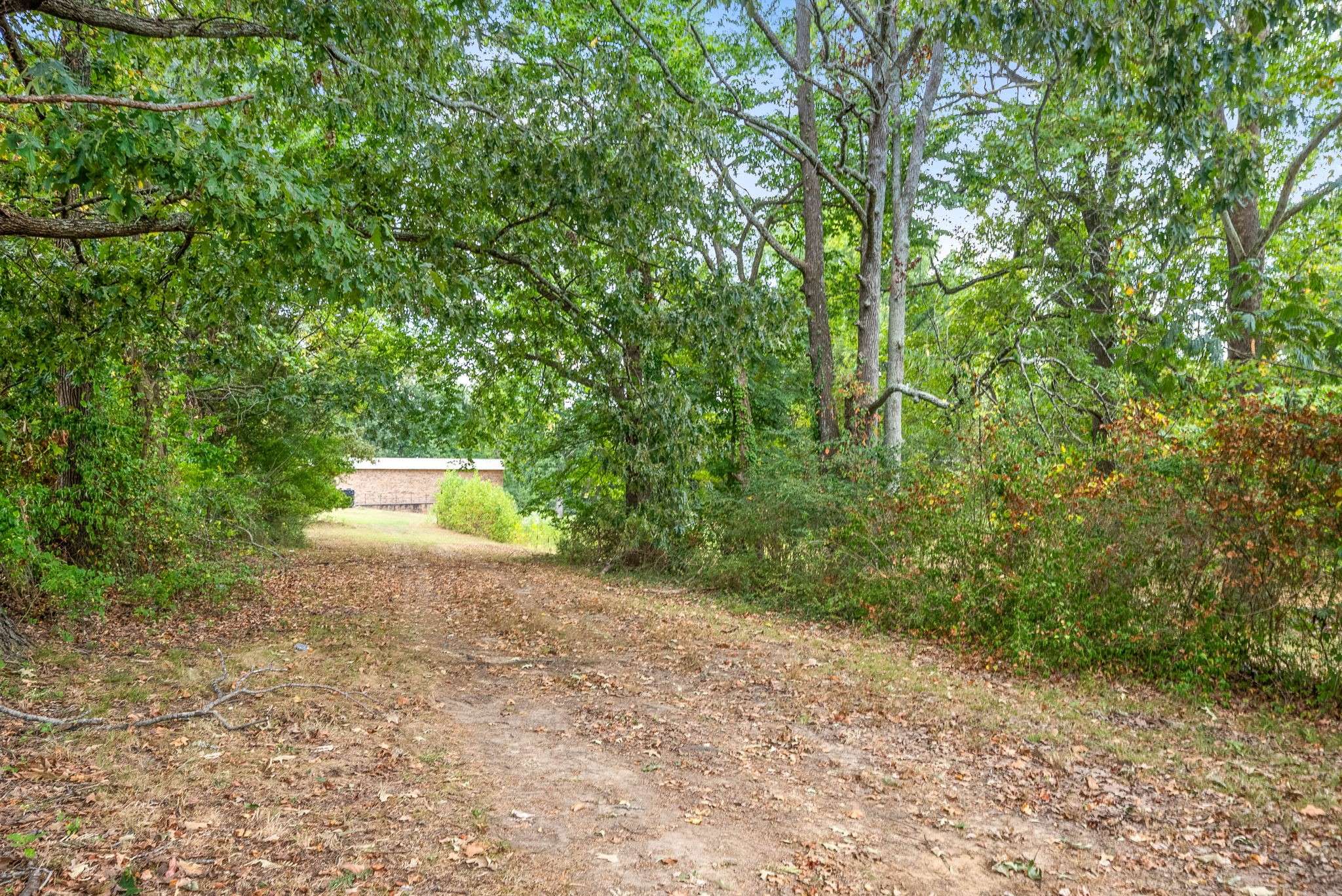 Paris, TN 38242,1299 East Wood St