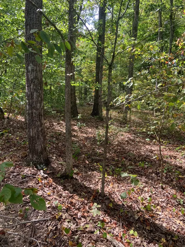 Stewart, TN 37175,0 Rocky Point Rd