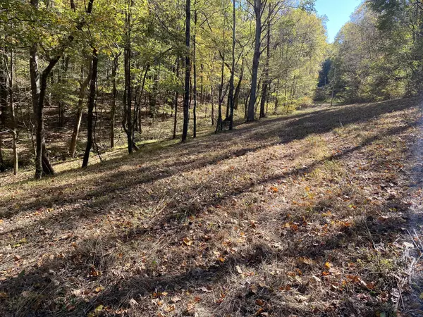 Bethpage, TN 37022,0 Griffs Hollow Lane