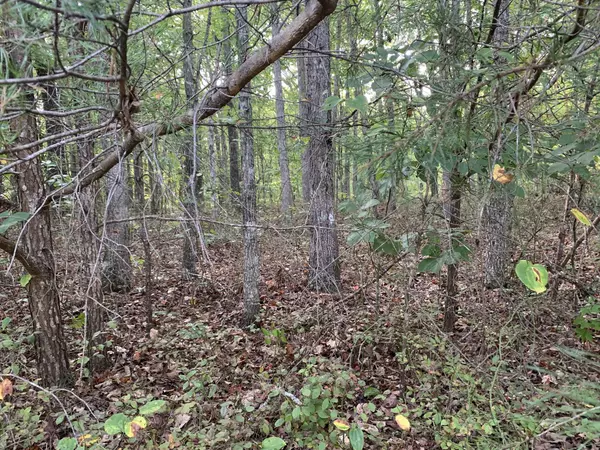 Spencer, TN 38585,0 Forest View Drive