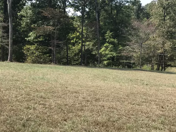 Vanleer, TN 37181,776 Norris Hollow Rd