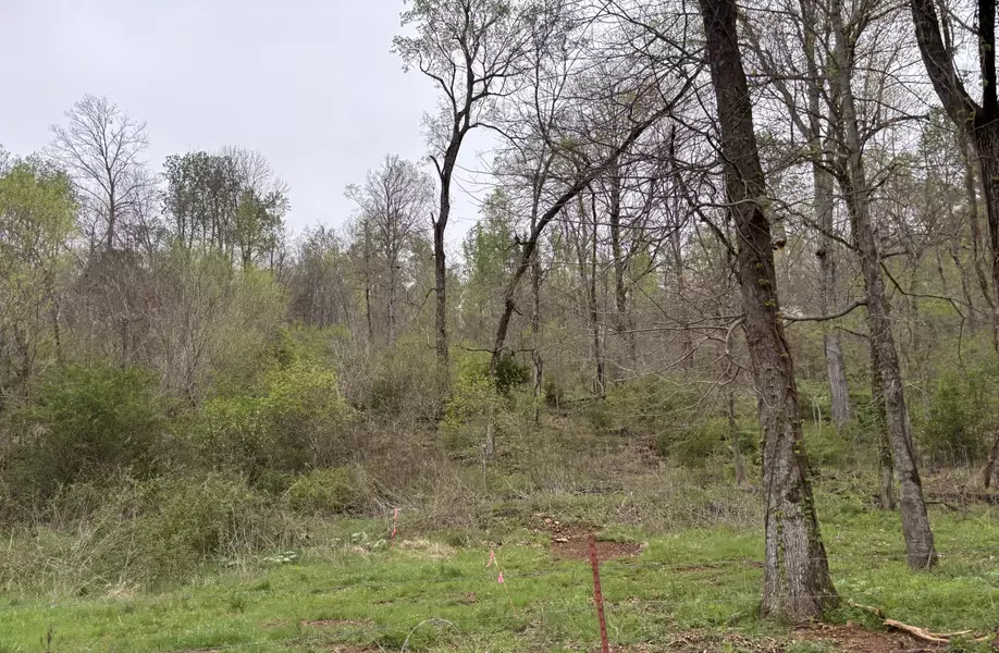 0 Cathcart Rd, Frankewing, TN 38459