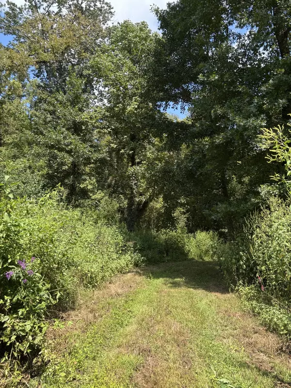 Frankewing, TN 38459,0 Cathcart Rd