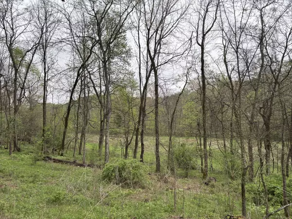 Frankewing, TN 38459,0 Cathcart Rd