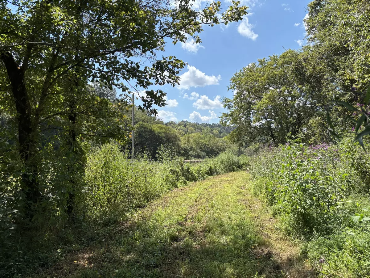 Frankewing, TN 38459,0 Cathcart Rd