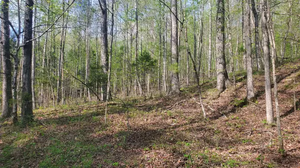 Big Rock, TN 37023,0 Higgs Rd