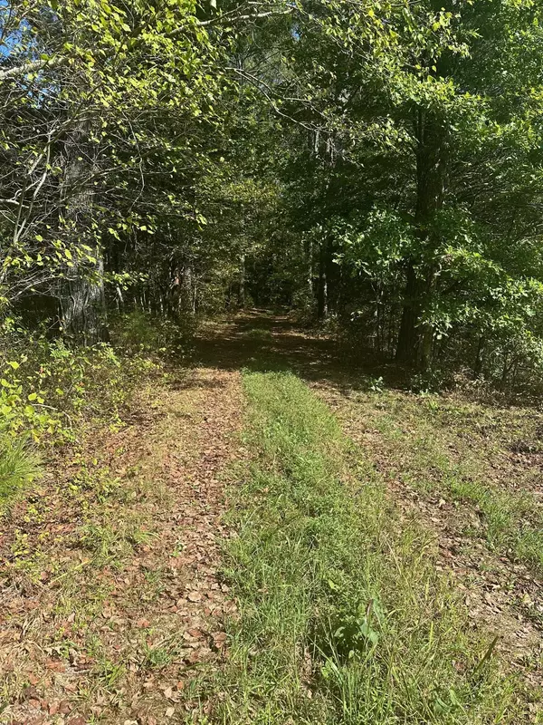 Hohenwald, TN 38462,1495 Trace Creek Rd