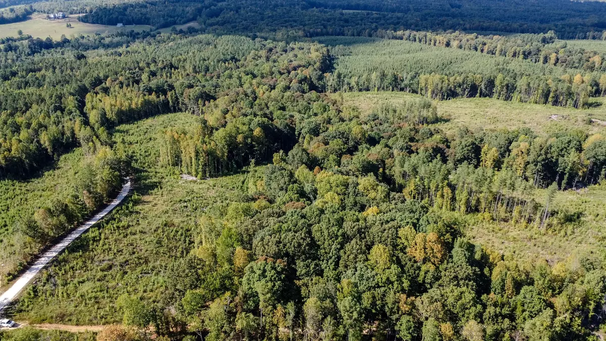 Henry, TN 38231,0 Haglersville Road