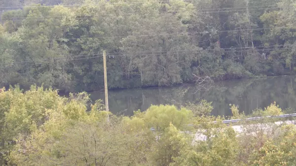 Whitleyville, TN 38588,150 Dycus Landing Lane