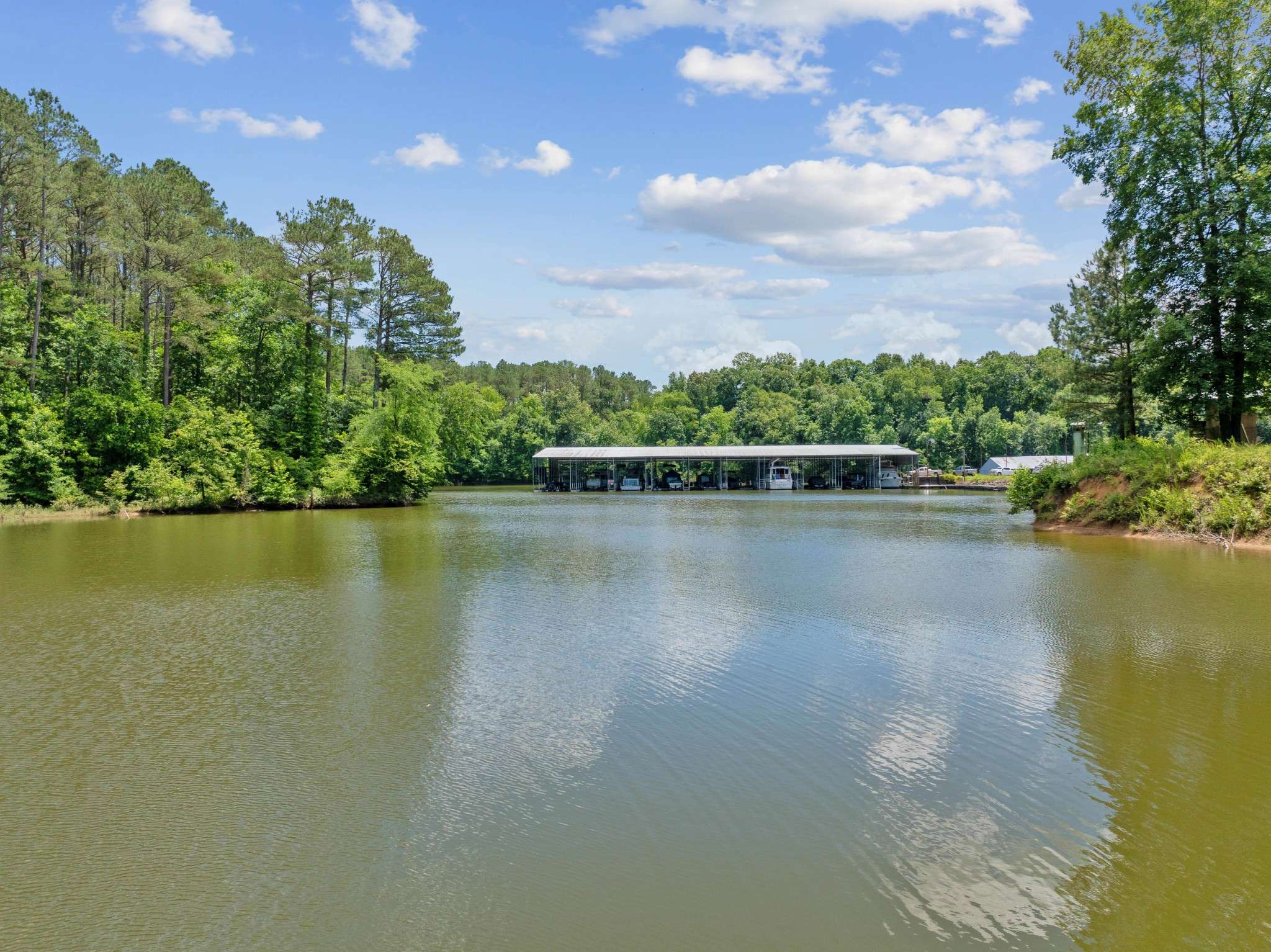 Decaturville, TN 38329,348 Yarbro Harbor Dr