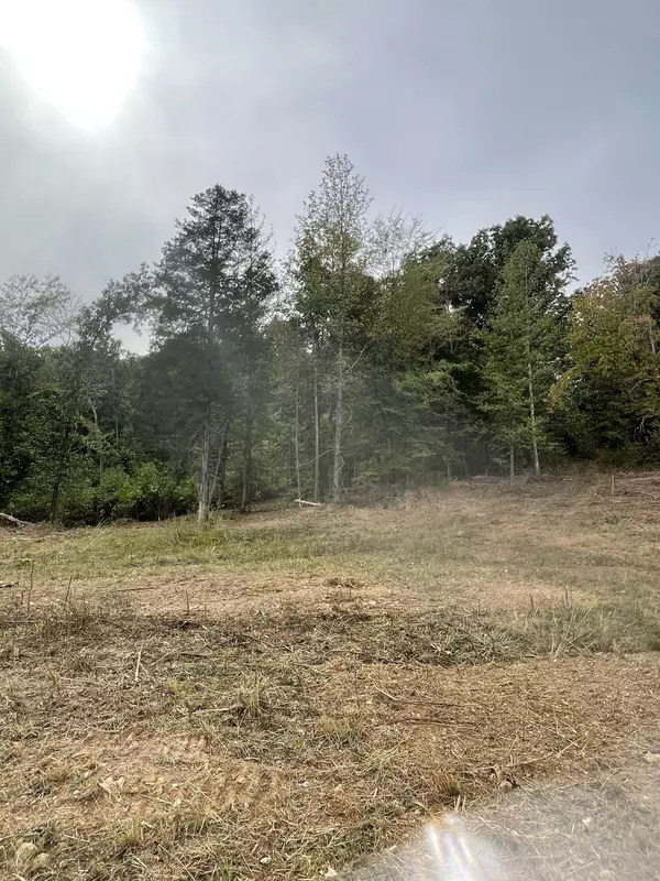 0 Kizer Ridge Road, Erin, TN 37061