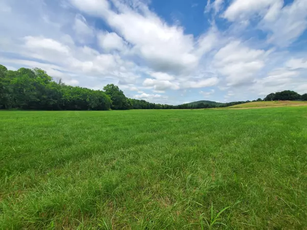 Gordonsville, TN 38563,0 Plunkett Creek Rd