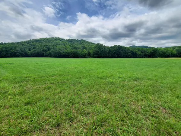 Gordonsville, TN 38563,0 Plunkett Creek Rd