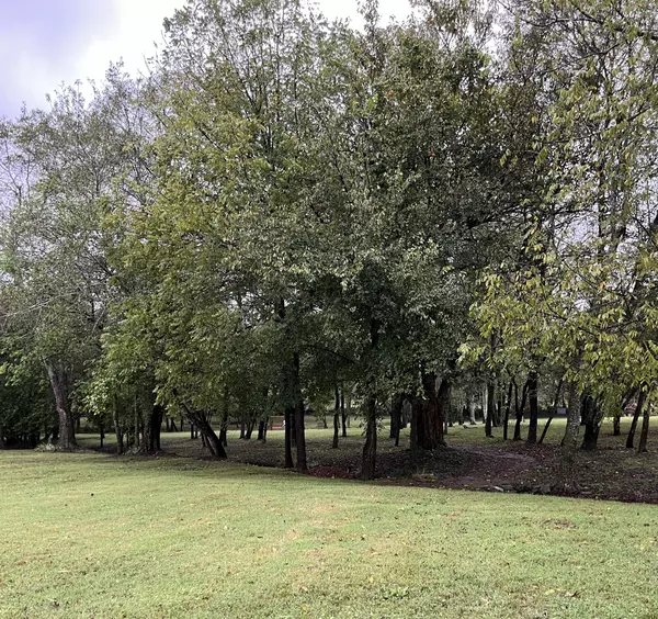 Castalian Springs, TN 37031,697 Greenfield Ln