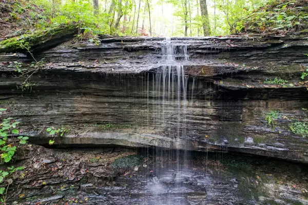 1 Ross Hollow Rd, Ashland City, TN 37015