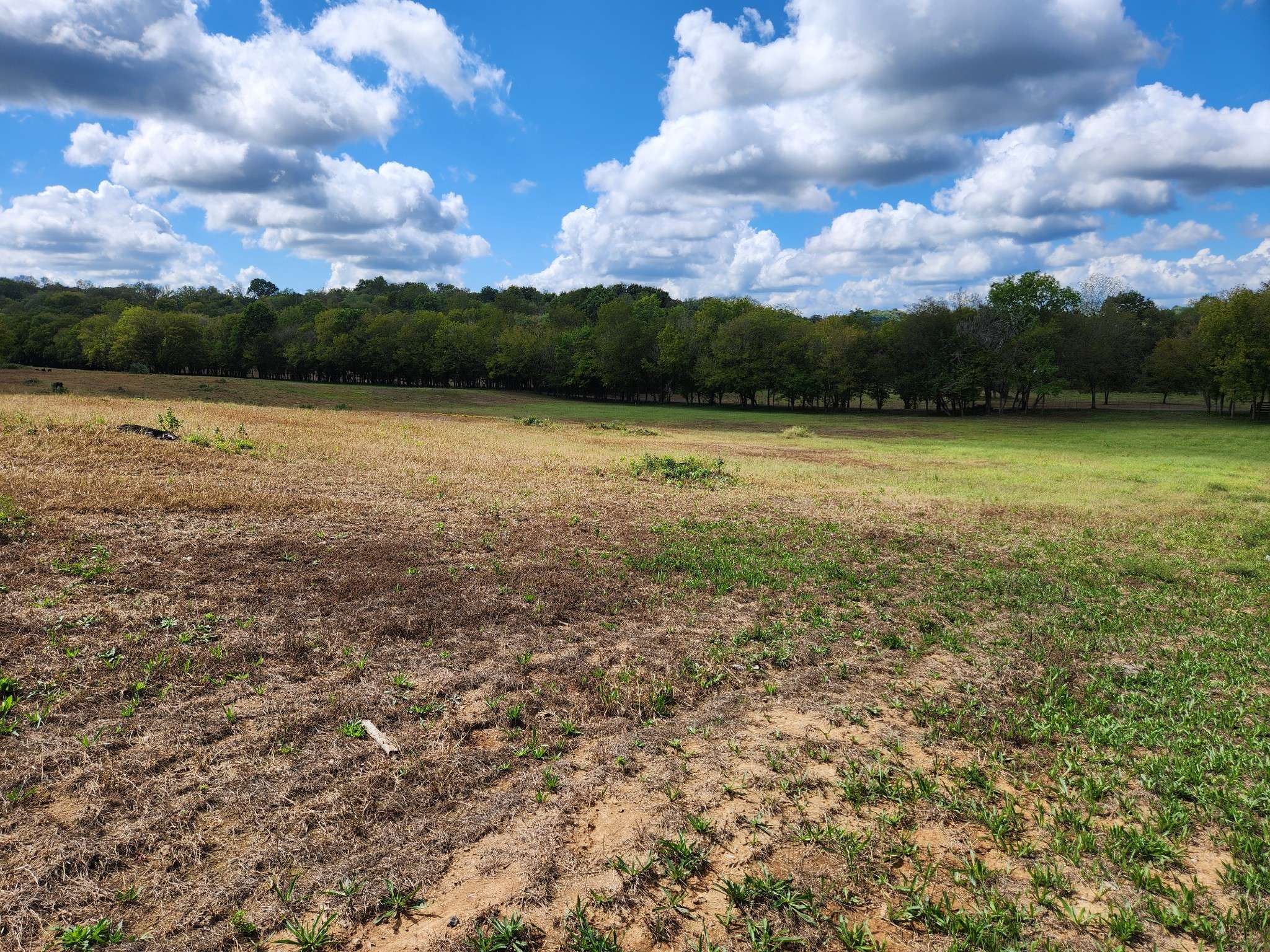 Culleoka, TN 38451,0 Moore Lane