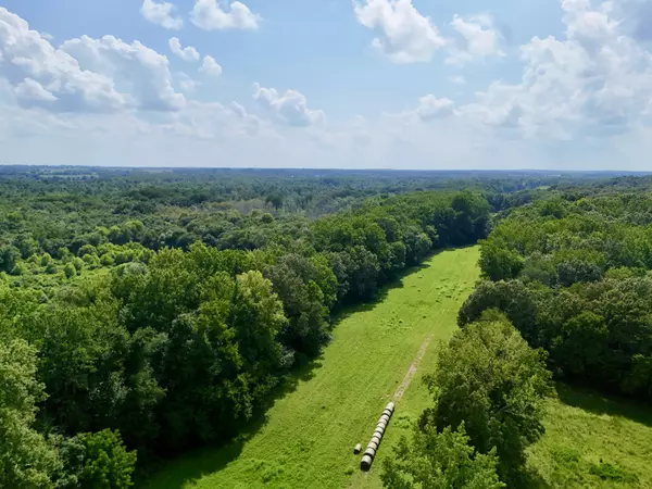 Puryear, TN 38251,0 Goldston Springs Road