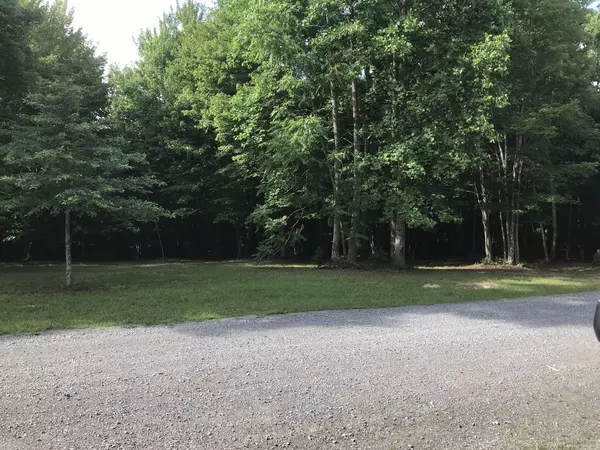 Dunlap, TN 37327,503 Wilderness Way