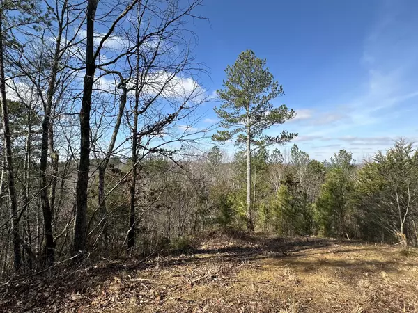 Old Fort, TN 37362,125 Fox Trail Drive