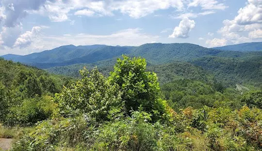 Ocoee, TN 37361,1415 Sloan Gap Road