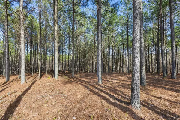 Jasper, TN 37347,260 Compass Drive
