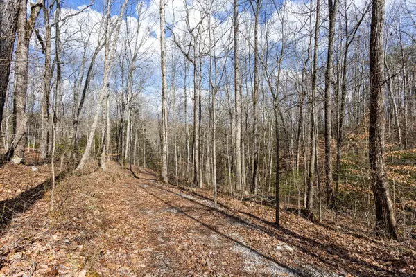 Dunlap, TN 37327,549 Wilderness Way