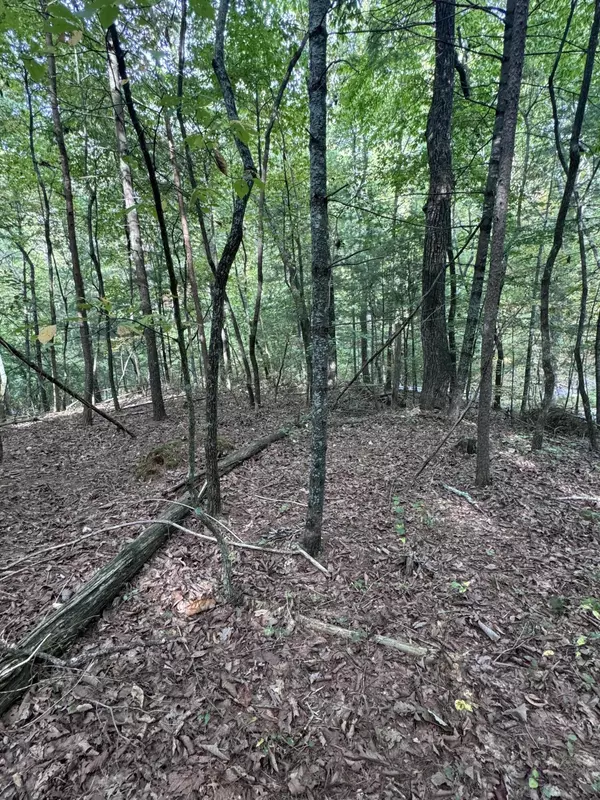 Georgetown, TN 37336,3 Eads Bluff Road #NW