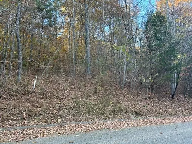 0 Blue Sewanee Road, Dunlap, TN 37327