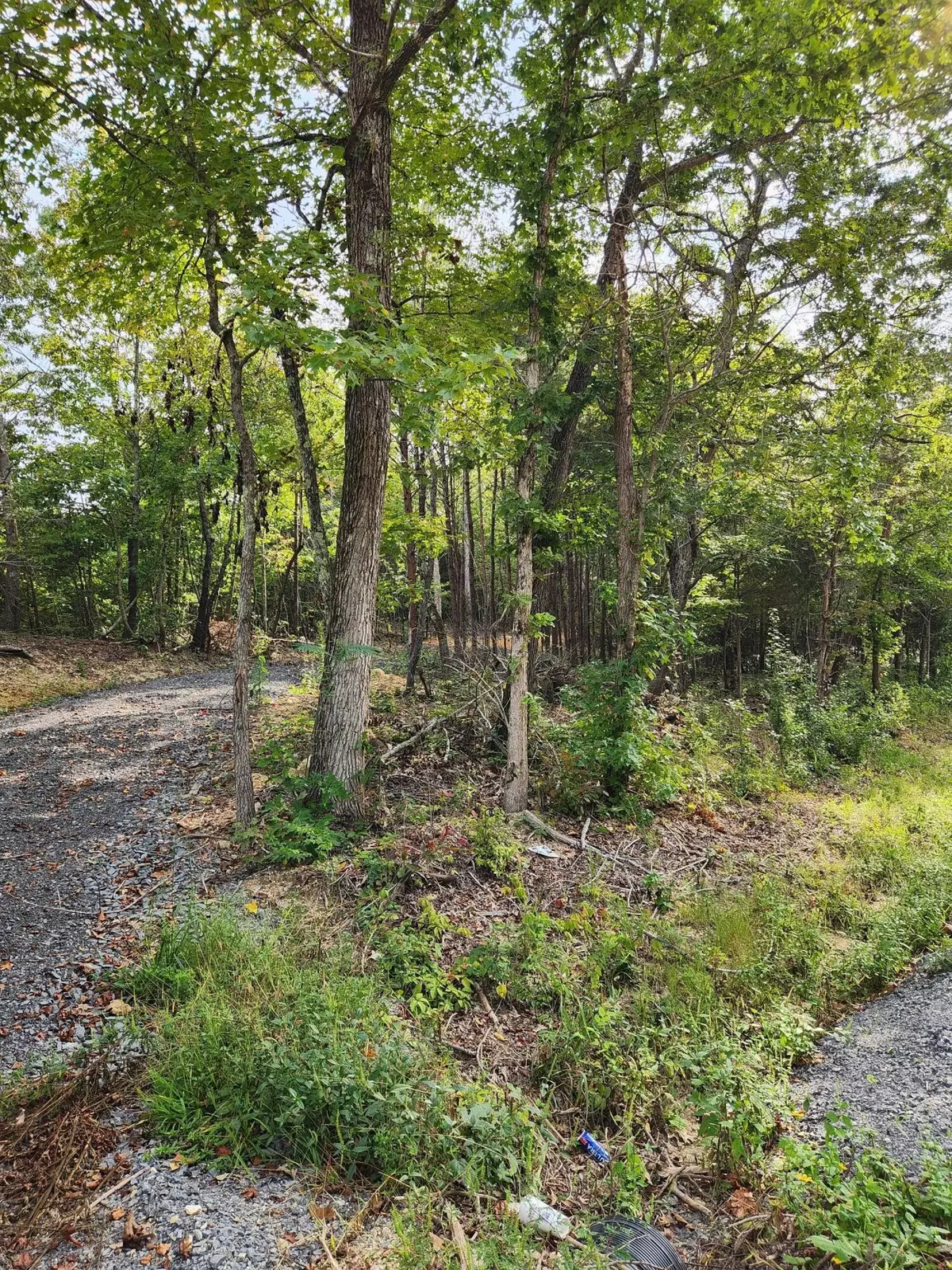 Ten Mile, TN 37880,0 Huff Bend Lane