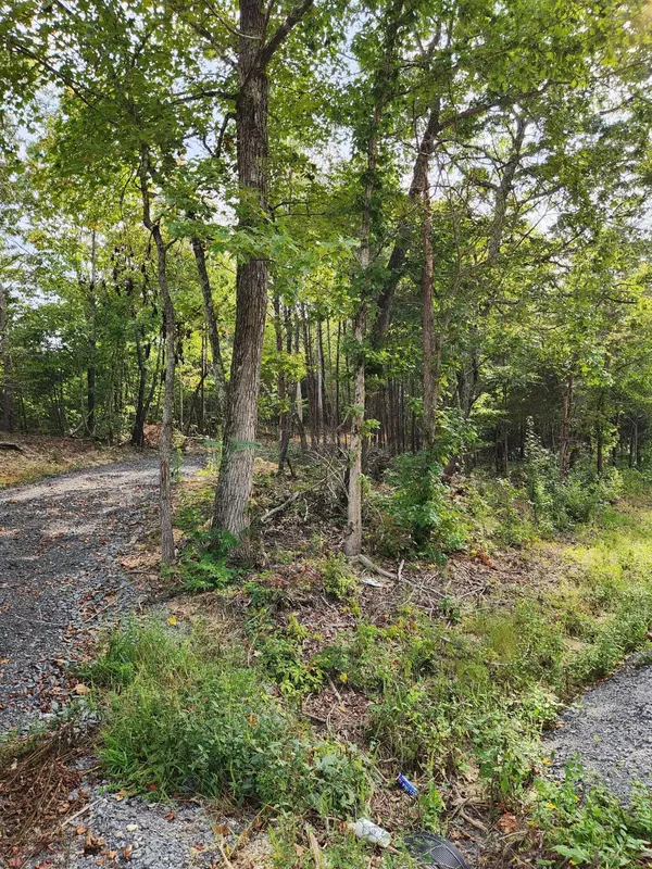 0 Huff Bend Lane, Ten Mile, TN 37880