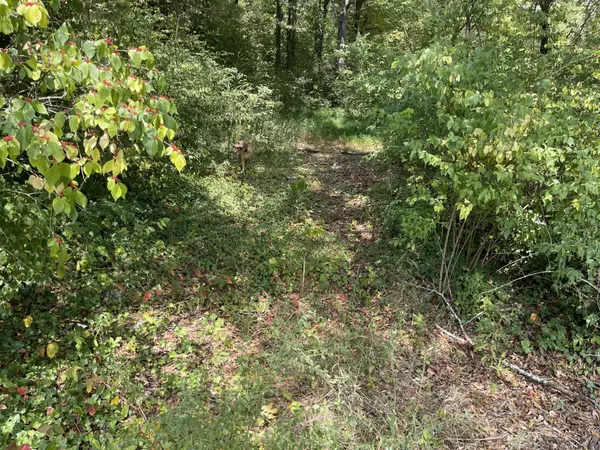 Jasper, TN 37347,335 Pleasant Grove Road
