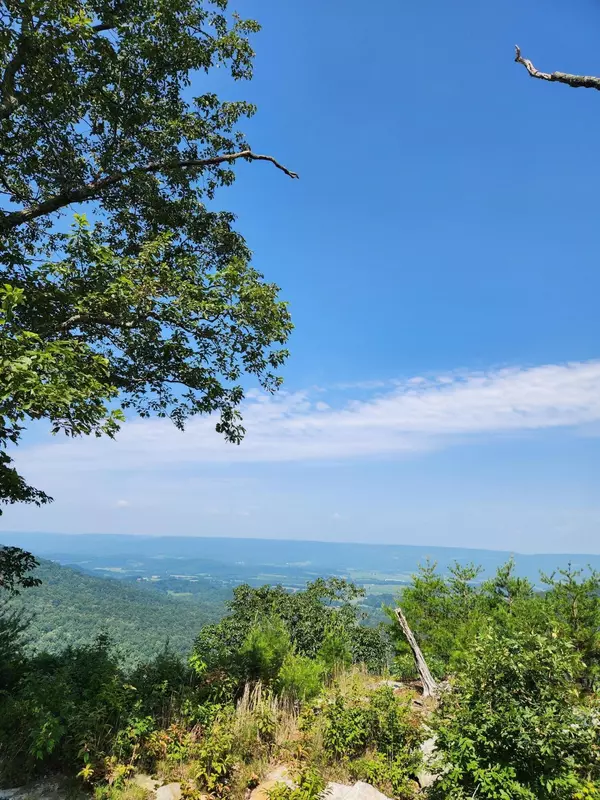 Pikeville, TN 37367,0 Overlook Lane