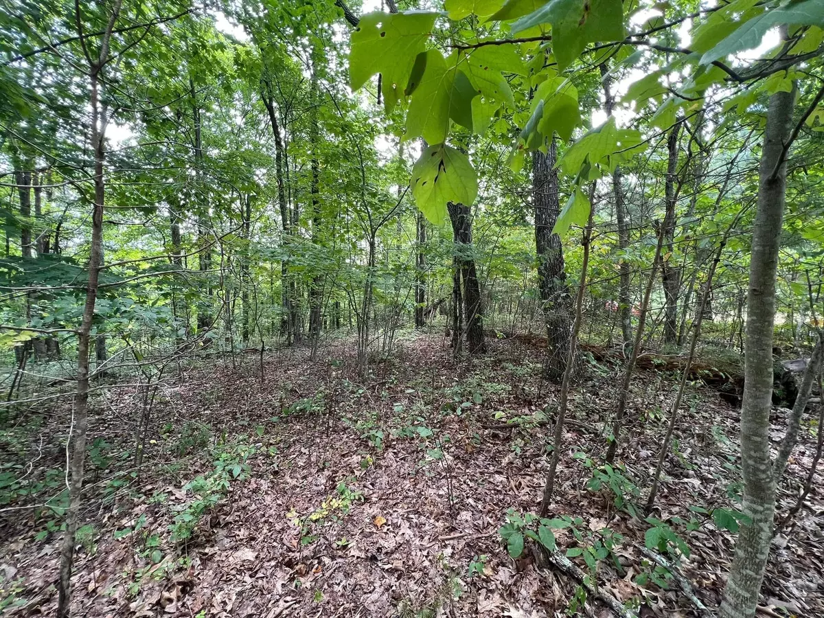 Dunlap, TN 37327,0 Wilderness Way