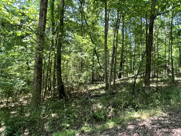 Soddy Daisy, TN 37379,13413 Lisa Lane