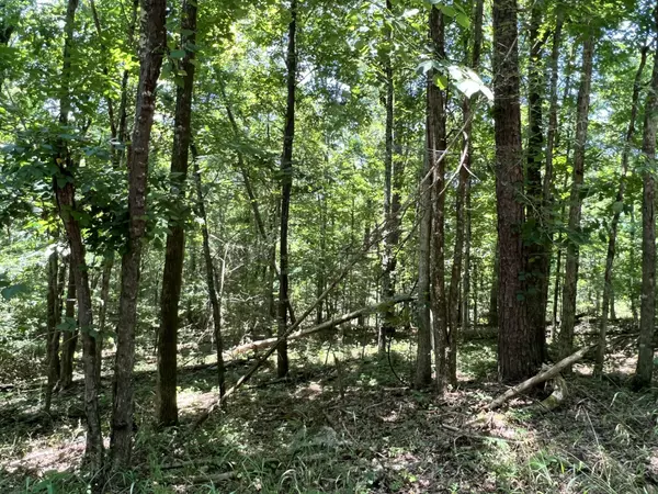 Soddy Daisy, TN 37379,13413 Lisa Lane