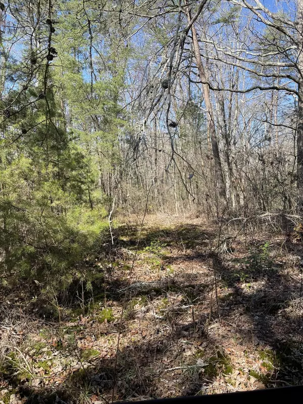 Soddy Daisy, TN 37379,0 Poe Road