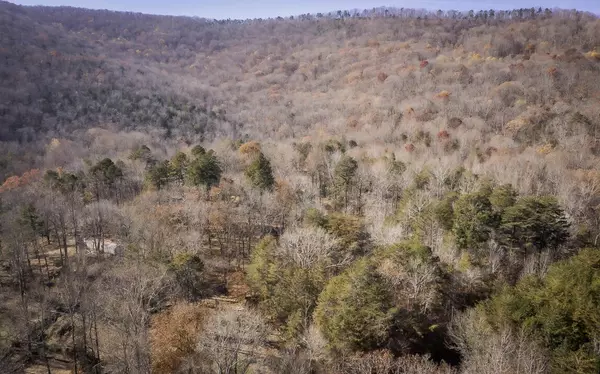 Flintstone, GA 30725,1095 Powder Springs Circle