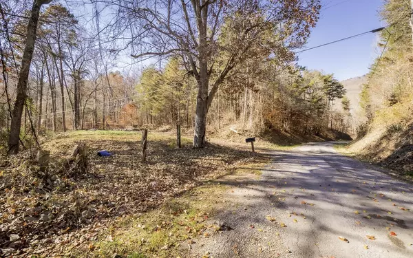 Flintstone, GA 30725,1095 Powder Springs Circle